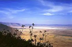 Blick in den Ngorongoro-Krater