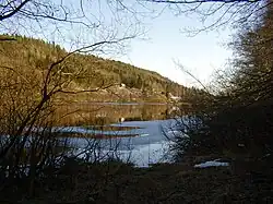 Nidelva in Reiersøl