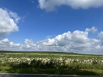 Wachtelberg bei Oehna