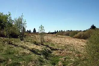 Neuer Hagen (auch: Niedersfelder Hochheide)