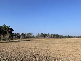 Kiebitzberg bei Hohenwerbig