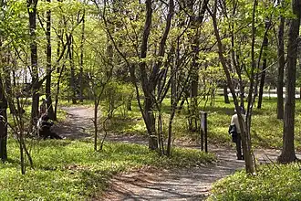 Mischwald im Ni-no-maru