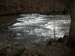 Die Nister bei der Abtei Marienstatt