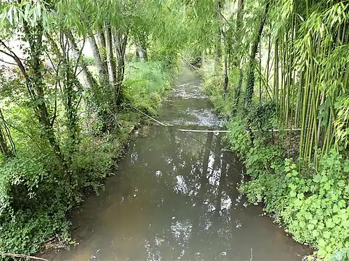 Die Nizonne unterhalb der D 99