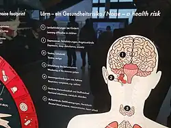 Gesundheitliche Folgen von Lärm (Schautafel Deutsches Museum)