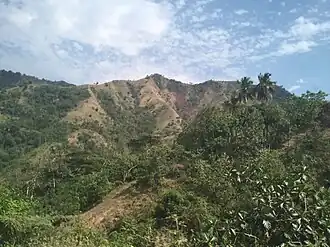 Typische Landschaft im Département Nord