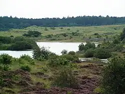 Wald- und Heidegebiet