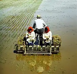 Maschineller Reisanbau in Nordkorea