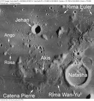 Rosa innerhalb der Kraterlandschaft