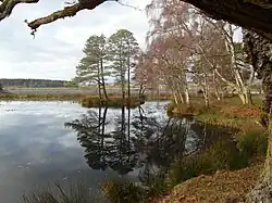 Nordufer des Lake Louise