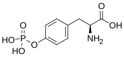 Strukturformel von O-Phospho-L-tyrosin