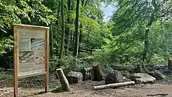 Station 3 – Gesteine.