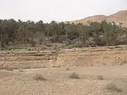 Blick auf Mides, 2005