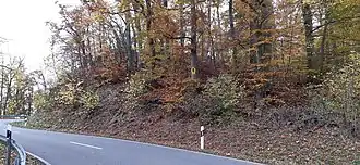 Blick von der Straße bergwärts auf den südlichen Burgteil