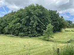 Oberes Lindlarer Sülztal bei Orbach