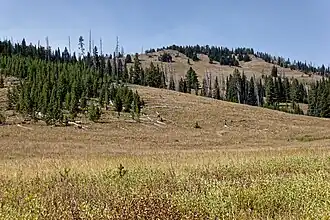 Observation Peak Trail