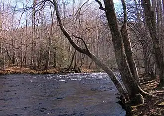 Oconaluftee River im Great-Smoky-Mountains-Nationalpark