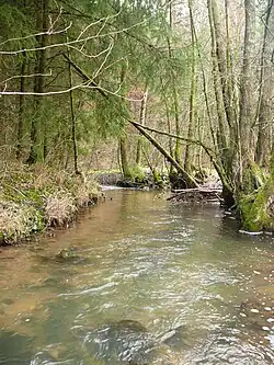 Das Ohrntal bei Schuppach