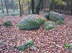 Großsteingrab Oldendorfer Hünensteine