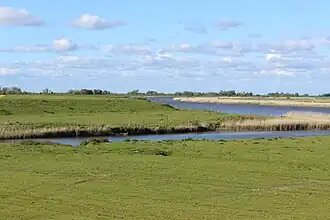 Blick zur Eider im NSG „Oldensworter Vorland“