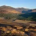 Blick von Süden auf Glen Lui, links die schneebedeckte Pyramide des Derry Cairngorm