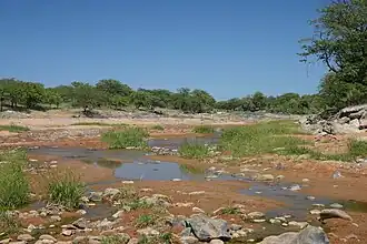 Ondoto Rivier nördlich von Epembe