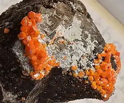 Hellorange Vanadinit-Kristalle aus der Pure Potential Mine, Arizona (Bildbreite ca. 15 mm)