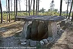 Orca 1 und 2 von Ameal