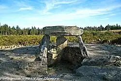 Orca 1 und 2 von Ameal