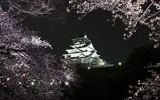 Burg von Osaka in der Nacht