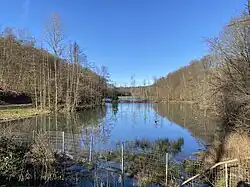 Hohemühle-Becken (hinten) im NSG GL-080 (Odenthal)