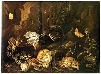 Stillleben mit Insekten und Amphibien (Otto Marseus van Schrieck)