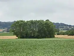 Standort der ehemaligen mittelalterlichen Burg