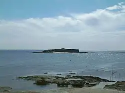 Île à Bacchus