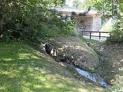 Austritt aus dem Oberholz