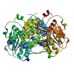 Cystathionin-β-Synthase
