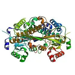 N5-Methyl-Tetrahydrofolat-Homocystein-S-Methyltransferase