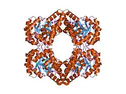 Bakterielles DHDPS[1]