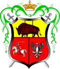 Wappen von Drohiczyn