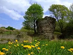 Gipskarstformationen im Naturreservat Skorocice