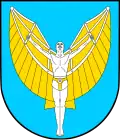 Wappen der Gmina Radgoszcz
