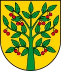 Wappen von Wiśniew