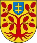Wappen von Zbuczyn