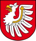 Greifenkopf am Flügel (Landkreis Brzesko, Polen)