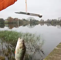 Waagemesser mit Angelleine