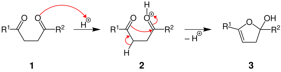 Mechanismus der Paal-Knorr-Furan-Synthese, Teil 1