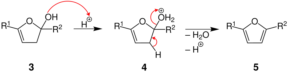Mechanismus der Paal-Knorr-Furan-Synthese, Teil 2