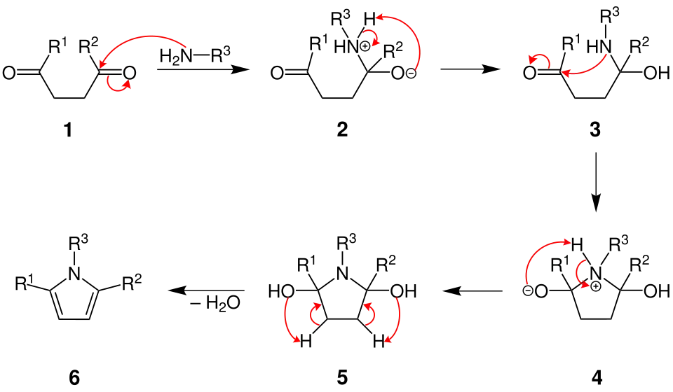 Mechanismus der Paal-Knorr-Pyrrol-Synthese