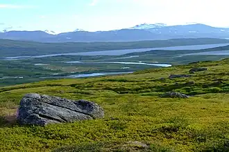 Blick auf den Vastenjaure, eine typische Landschaft im Padjelanta