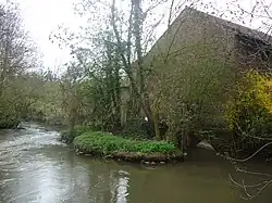 Rückseite von Norden